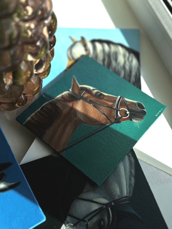 Horse Portrait 3