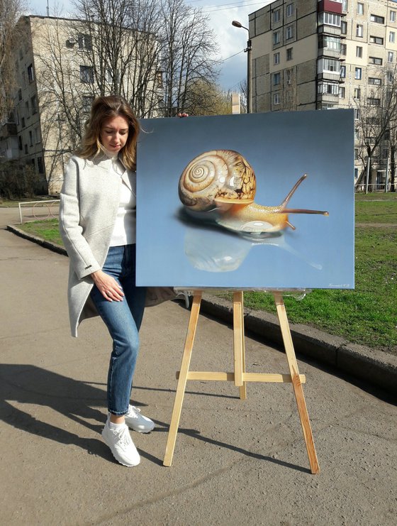 painting Snail, snail art, hyperrealism, realistic acrylic painting