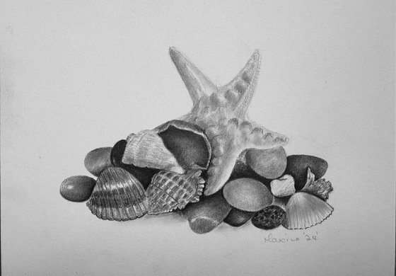 Shells and stones