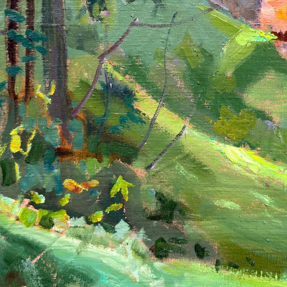 Summer Light Carpathian Hills