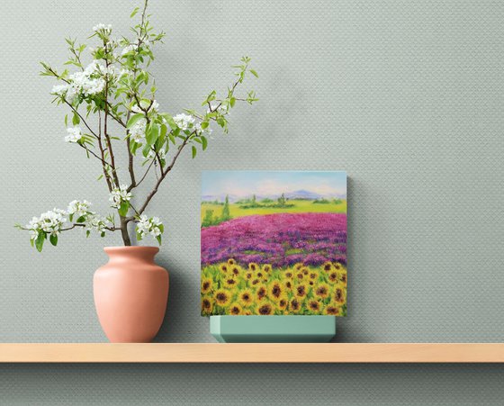 Sunflowers and lavender fields in summer
