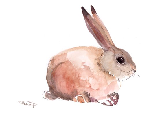 Bunny