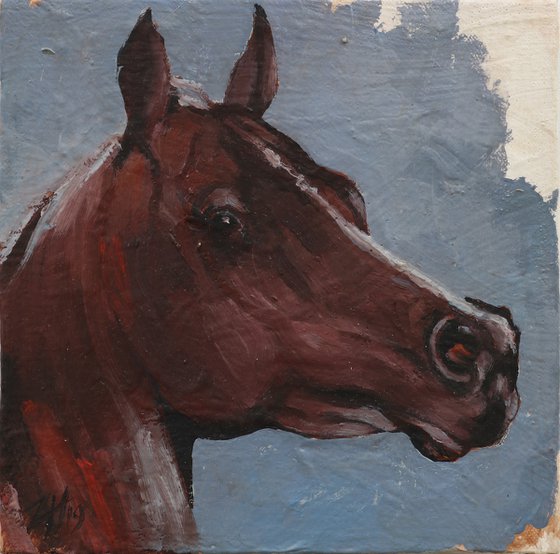 Equine Head Arab Chestnut (study 90)