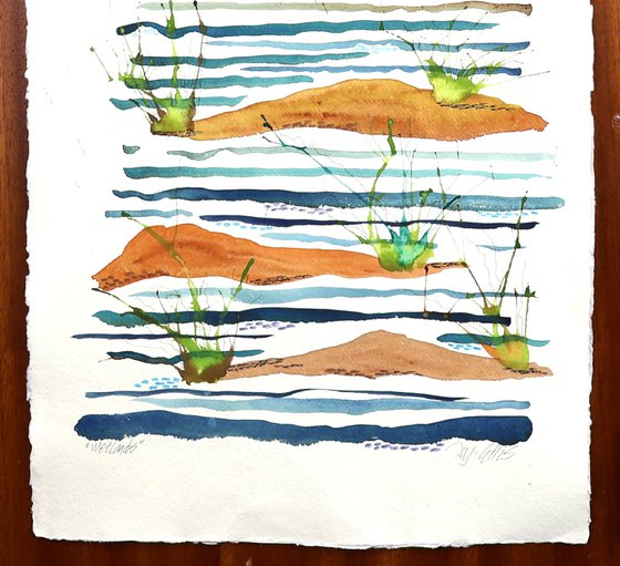 Wetlands
