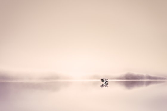 Dawn Dew