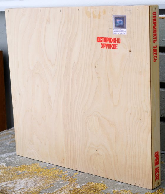 The prince and Rapunzel at the castle