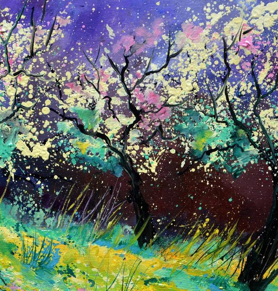 Appletrees in blossom -6523