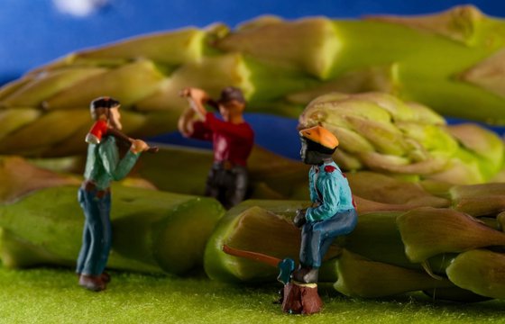 Asparagus Lumberjacks