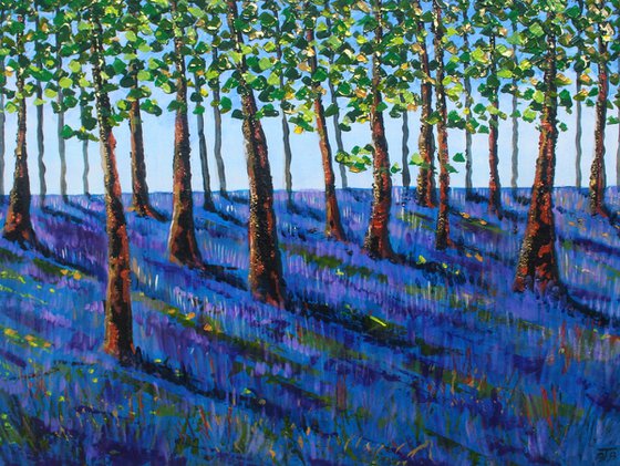 Bluebell wood IV