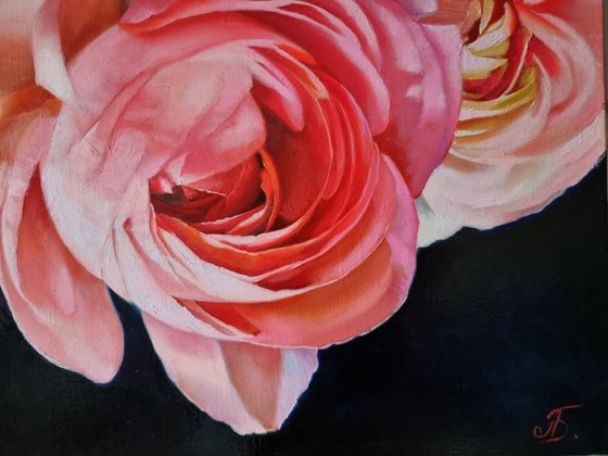 "Inspiration" rose  flower 2022
