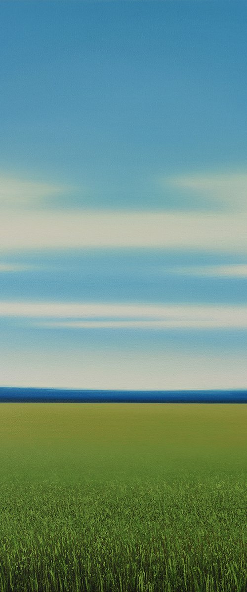 Countryside View - Blue Sky by Suzanne Vaughan