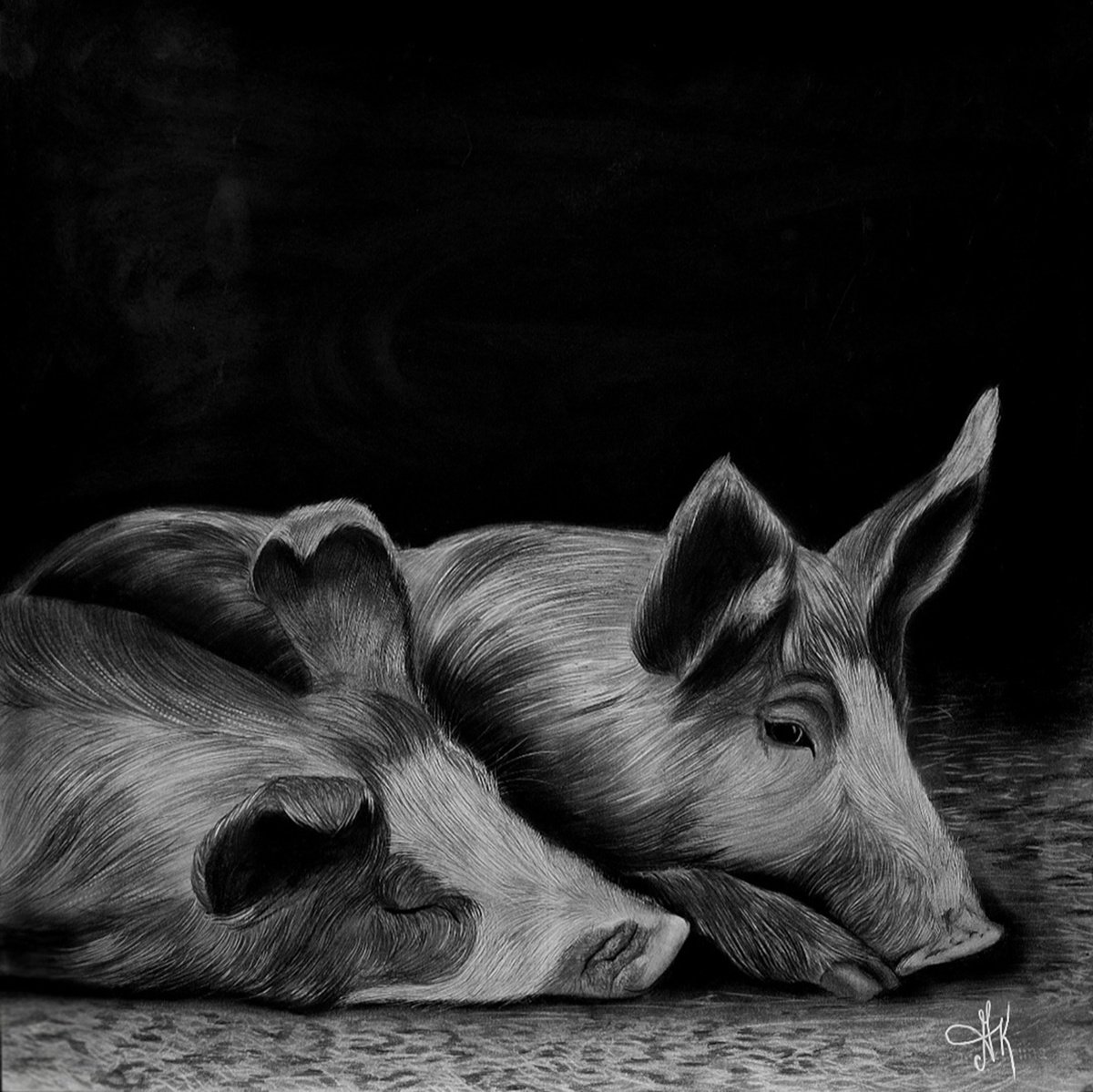 Graphic Animal Charcoal Drawing By Kateryna Kostyk, 17 X 17", "Lunchtime Dream", Original Artwork
