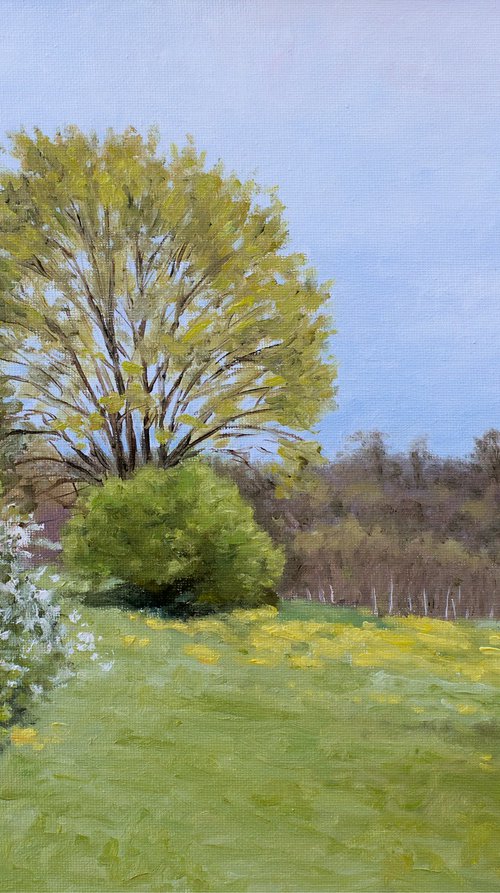 Meadow on the Hill in Spring by Dejan Trajkovic