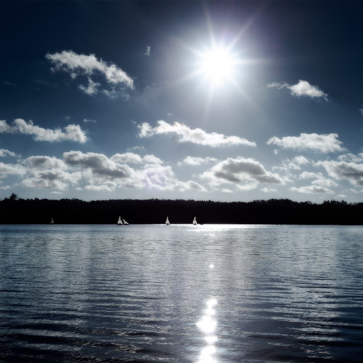 Frensham Great Pond by Tracie Callaghan