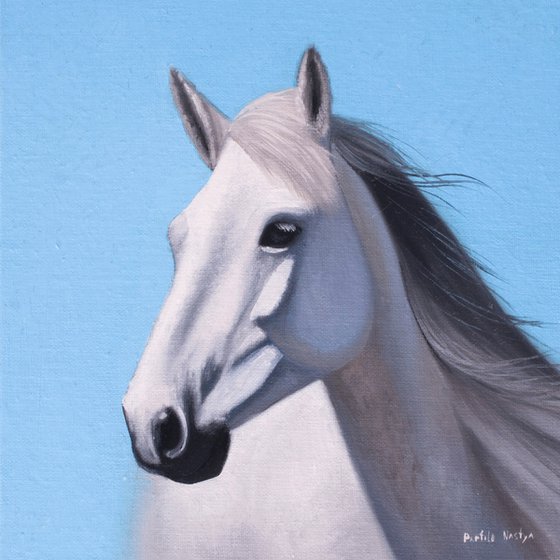 Horse portrait 40