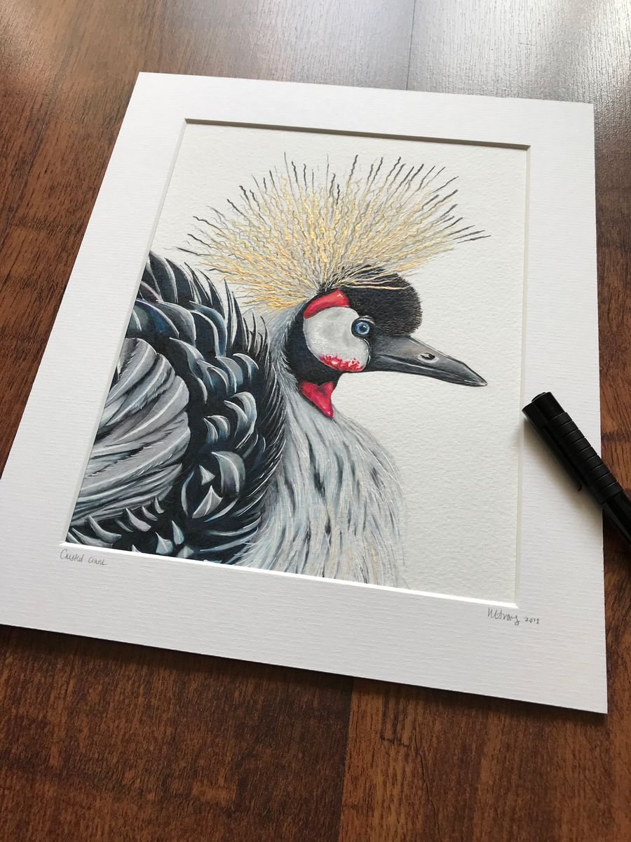 Illustrative Pencil Drawing , Crested Crane By Karen Elaine Evans, 10 X 12, Artwork For Sale On Artfinder