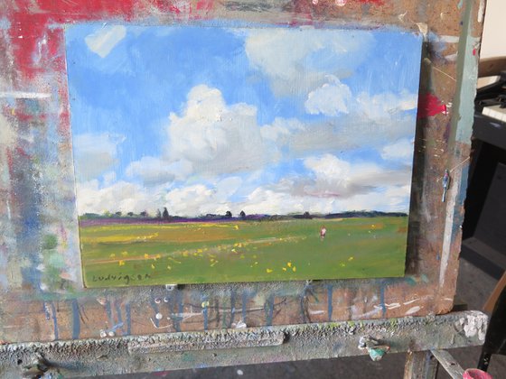 Summer Meadow