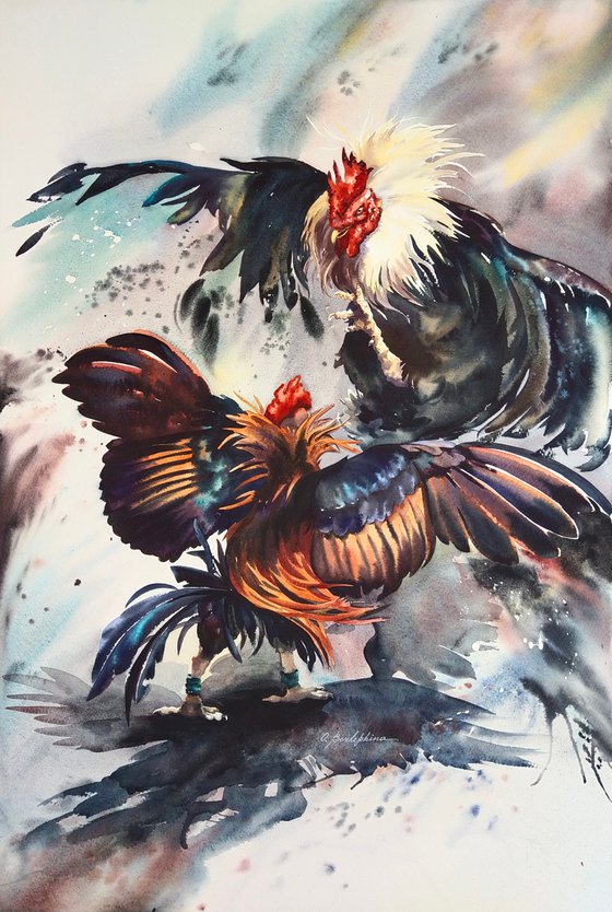 Fight - battle of two roosters