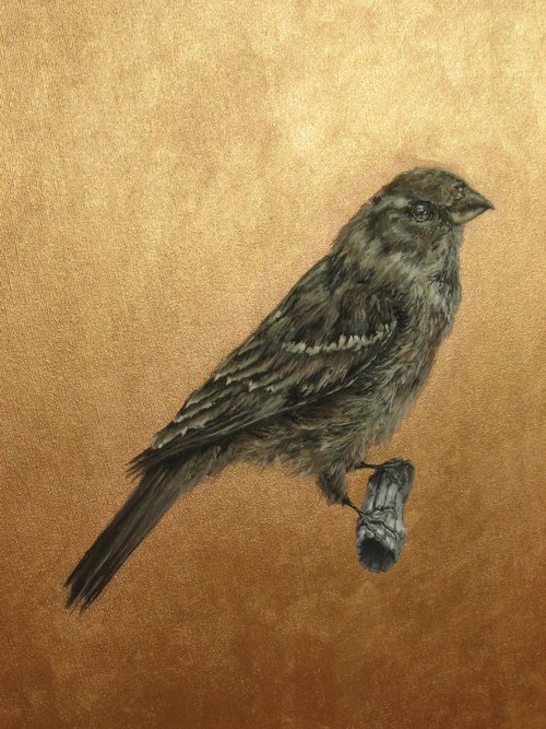 Sparrow on a golden background by Monika Wawrzyniak