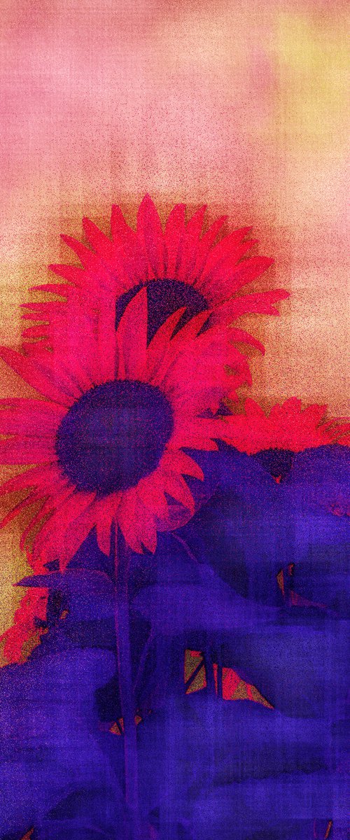 Alien Sunflowers by Barbara Storey