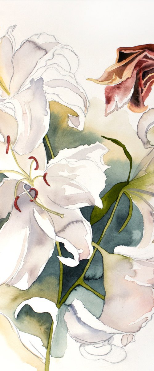Lilies No. 17 by Elizabeth Becker
