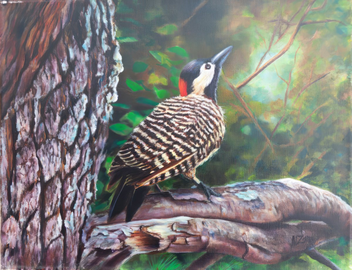 Woodpecker In The Forest By Norma Beatriz Zaro, 14 X 11, Artwork For Sale On Artfinder