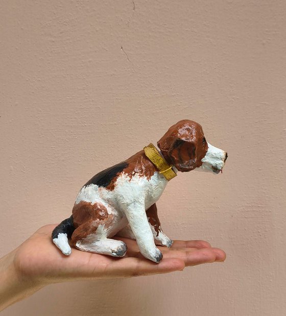 Head Turning Beagle