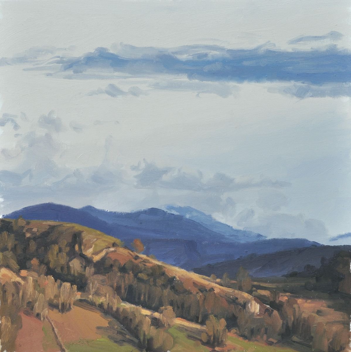 February 26, evening light by ANNE BAUDEQUIN