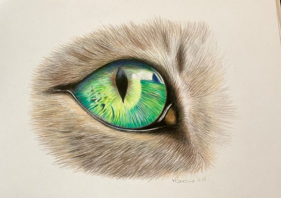 Cats eye