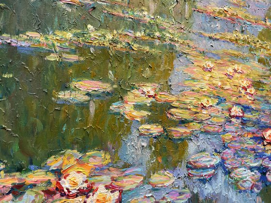 Water lilies in the pond