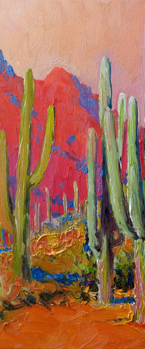 Evening. Saguaro Cactuses by Suren Nersisyan