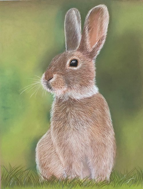 Rabbit by Maxine Taylor
