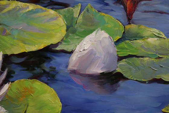 "Garden on the water"