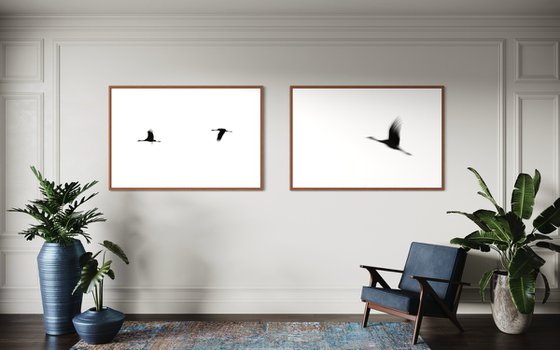 Crane(s) I
