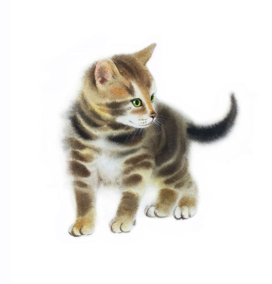 Fluffy Tabby Kitten #1 - Tabby Cat - Kitten Painting - Kitty