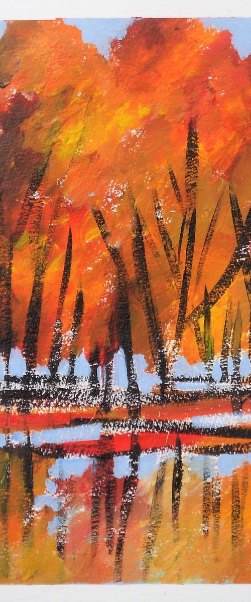 Tree Reflections 3 by Jan Rippingham