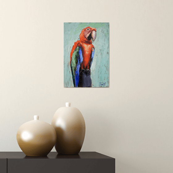 Macaw Parrot