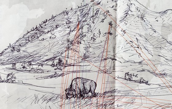 Landscape - Bison - Buffalo - "Delta Sky Scribble"