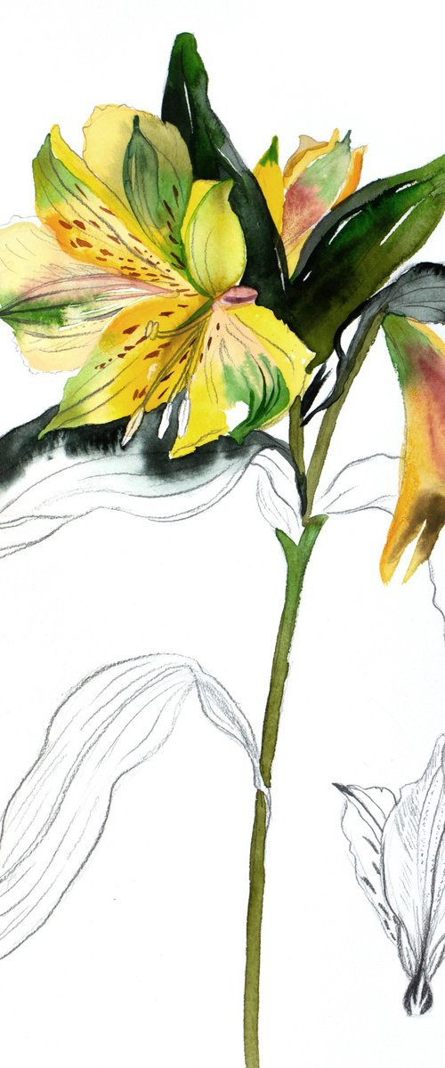 Lilies No. 7 by Elizabeth Becker