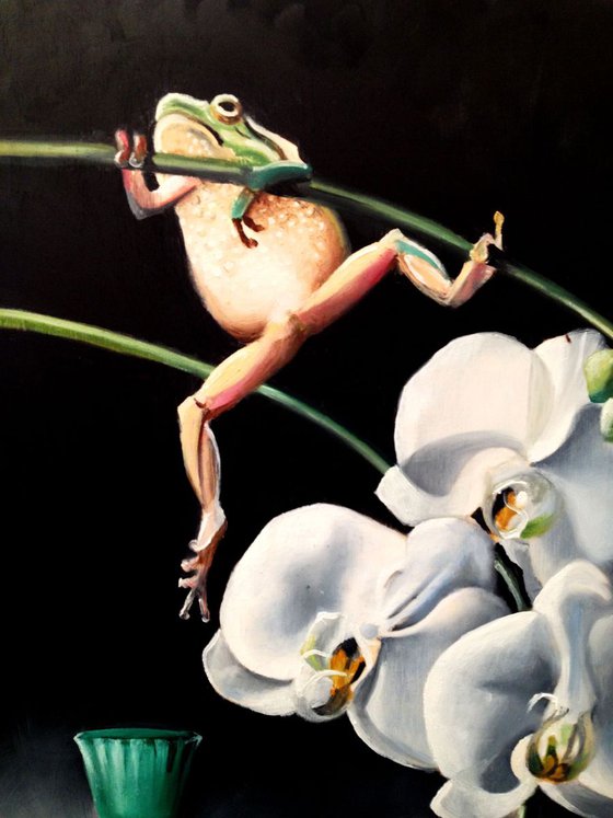 A very poisonous frog- original painting - still life oil on wood- 30 x 40 (12' x 16')