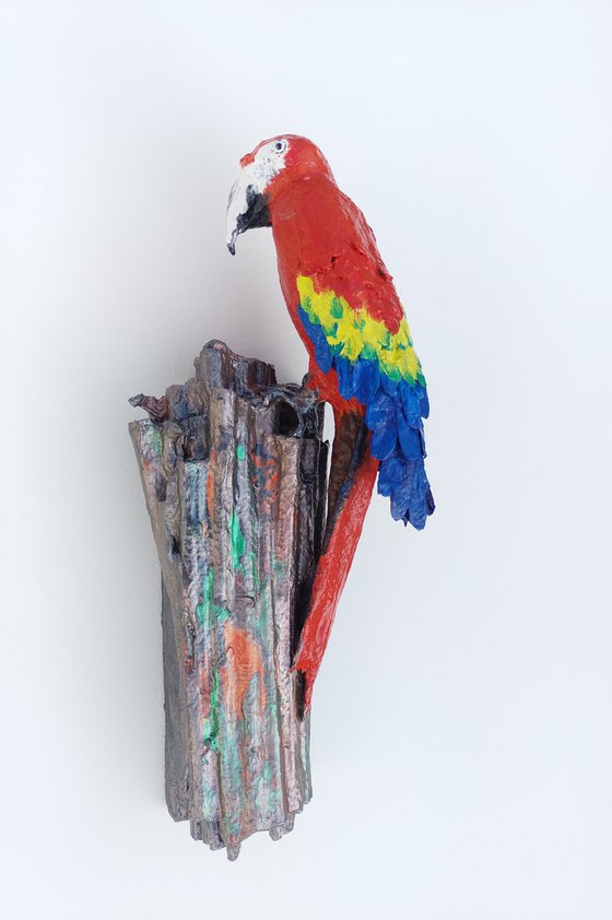 Scarlet Macaw Clay Lick