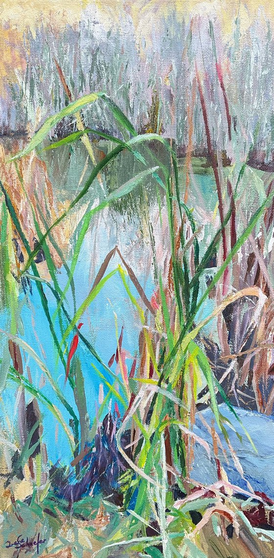 “Pond grasses”