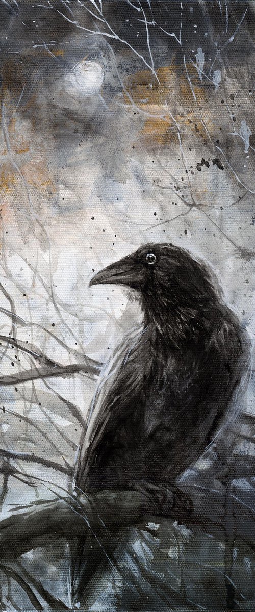Take a look with one eye by Alexandr Klemens