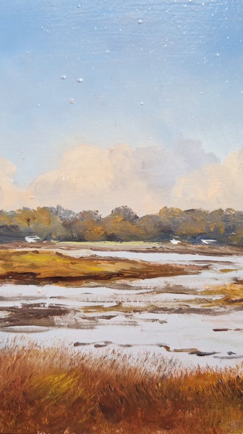 Marsh in Crach by José DAOUDAL