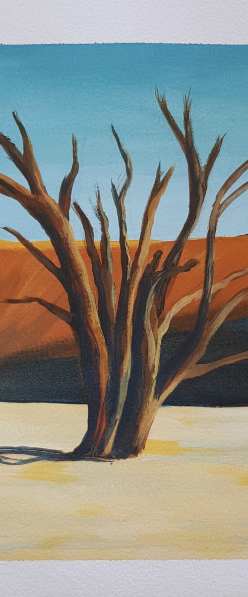 Desert Acacia by Daria Startseva