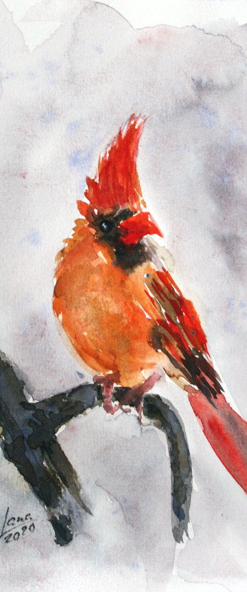 Cardinal V - Bird portrait /  ORIGINAL PAINTING by Salana Art Gallery