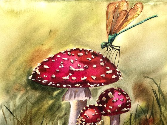 Mushrooms and dragonfly