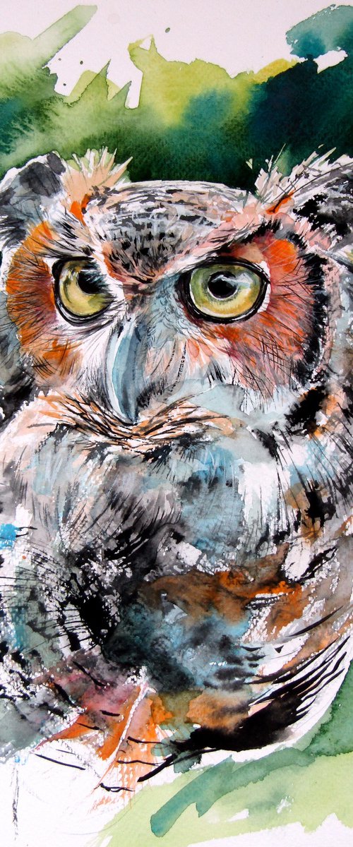 Owl watching by Kovács Anna Brigitta
