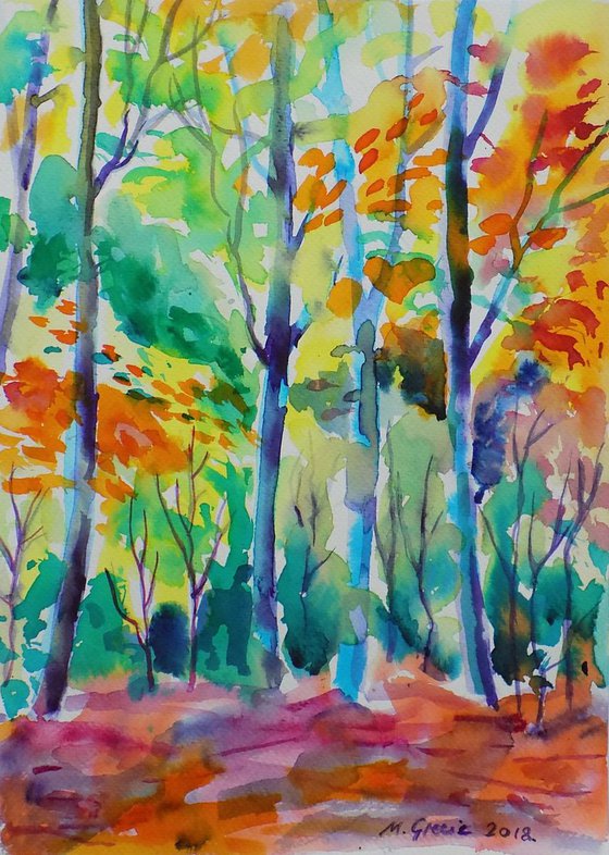 Colorful forest