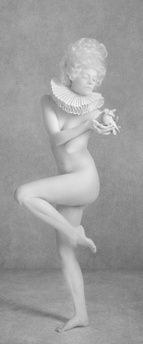 White bird - Art Nude by Peter Zelei